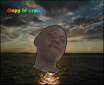 diopy